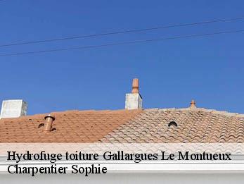 Hydrofuge toiture  30660