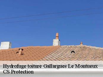 Hydrofuge toiture 30660