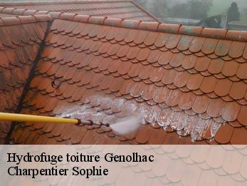 Hydrofuge toiture