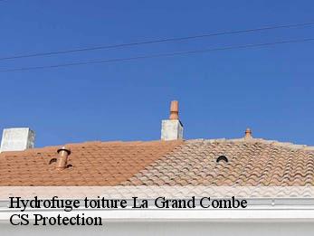 Hydrofuge toiture 30110