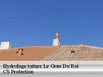 Hydrofuge toiture 30240