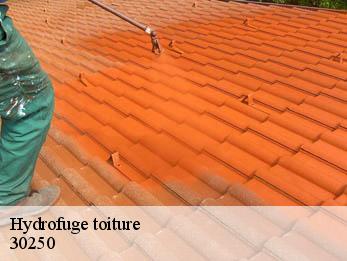 Hydrofuge toiture  30250
