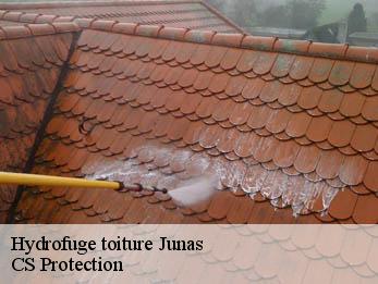 Hydrofuge toiture