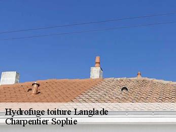 Hydrofuge toiture  30980