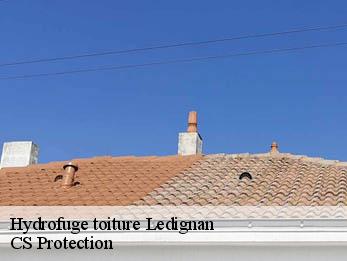 Hydrofuge toiture 30350