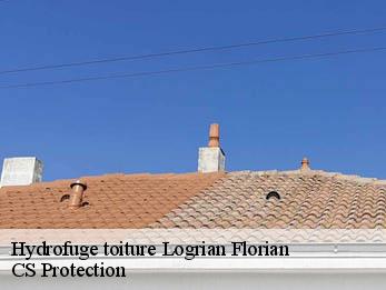 Hydrofuge toiture 30610