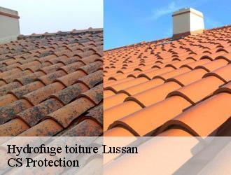 Hydrofuge toiture  lussan-30580 CS Protection