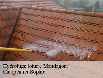 Hydrofuge toiture