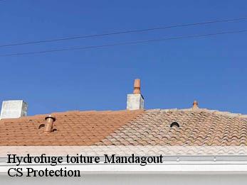 Hydrofuge toiture 30120