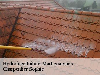 Hydrofuge toiture