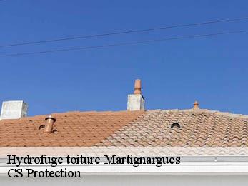 Hydrofuge toiture 30360