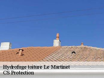 Hydrofuge toiture  30960