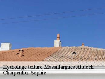 Hydrofuge toiture  30140