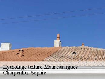 Hydrofuge toiture  30350