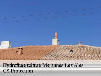 Hydrofuge toiture 30340