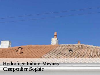 Hydrofuge toiture  30840