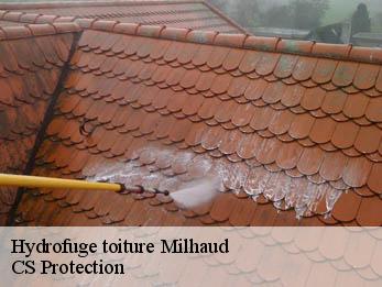Hydrofuge toiture