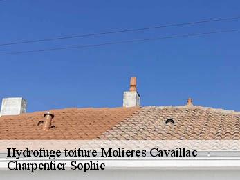 Hydrofuge toiture  30120