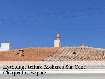 Hydrofuge toiture  30410