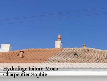 Hydrofuge toiture  30340