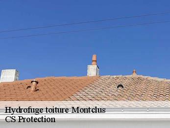 Hydrofuge toiture 30630