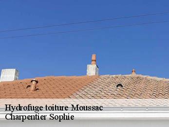 Hydrofuge toiture 30190
