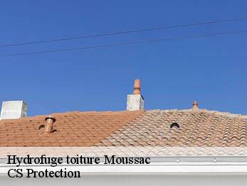 Hydrofuge toiture  30190