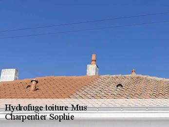 Hydrofuge toiture 30121