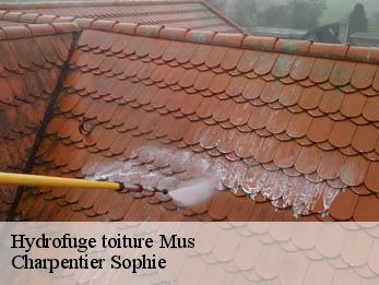Hydrofuge toiture