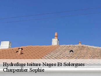 Hydrofuge toiture 30114