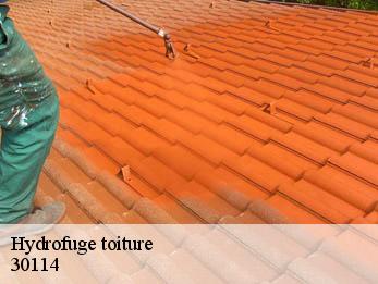 Hydrofuge toiture 30114