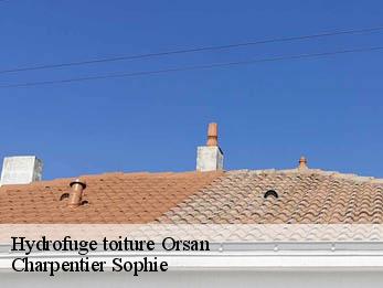 Hydrofuge toiture  30200