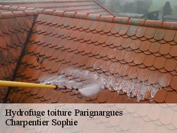 Hydrofuge toiture