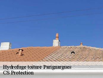 Hydrofuge toiture  30730