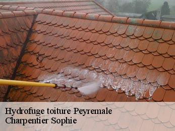 Hydrofuge toiture