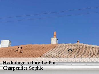 Hydrofuge toiture  30330