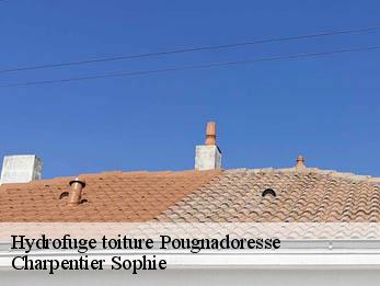 Hydrofuge toiture  30330