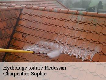 Hydrofuge toiture