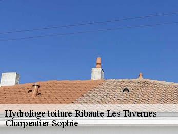 Hydrofuge toiture  30720