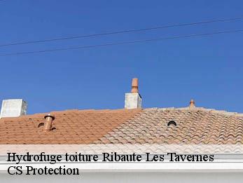 Hydrofuge toiture 30720