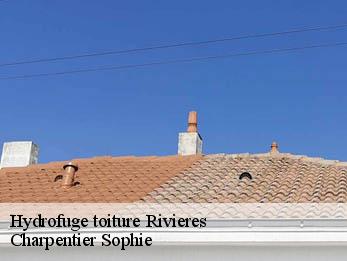 Hydrofuge toiture  30430