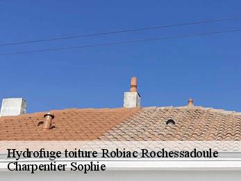 Hydrofuge toiture  30160