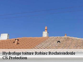 Hydrofuge toiture 30160