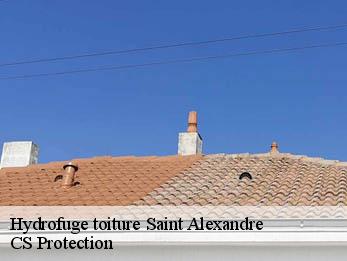 Hydrofuge toiture 30130