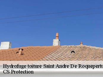 Hydrofuge toiture 30630