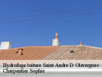 Hydrofuge toiture  30330