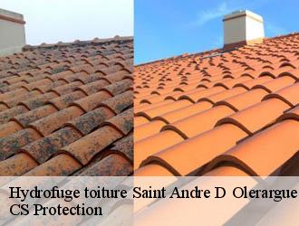 Hydrofuge toiture  saint-andre-d-olerargues-30330 CS Protection