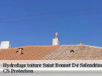 Hydrofuge toiture 30460