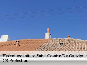 Hydrofuge toiture  30360