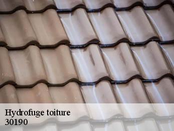 Hydrofuge toiture